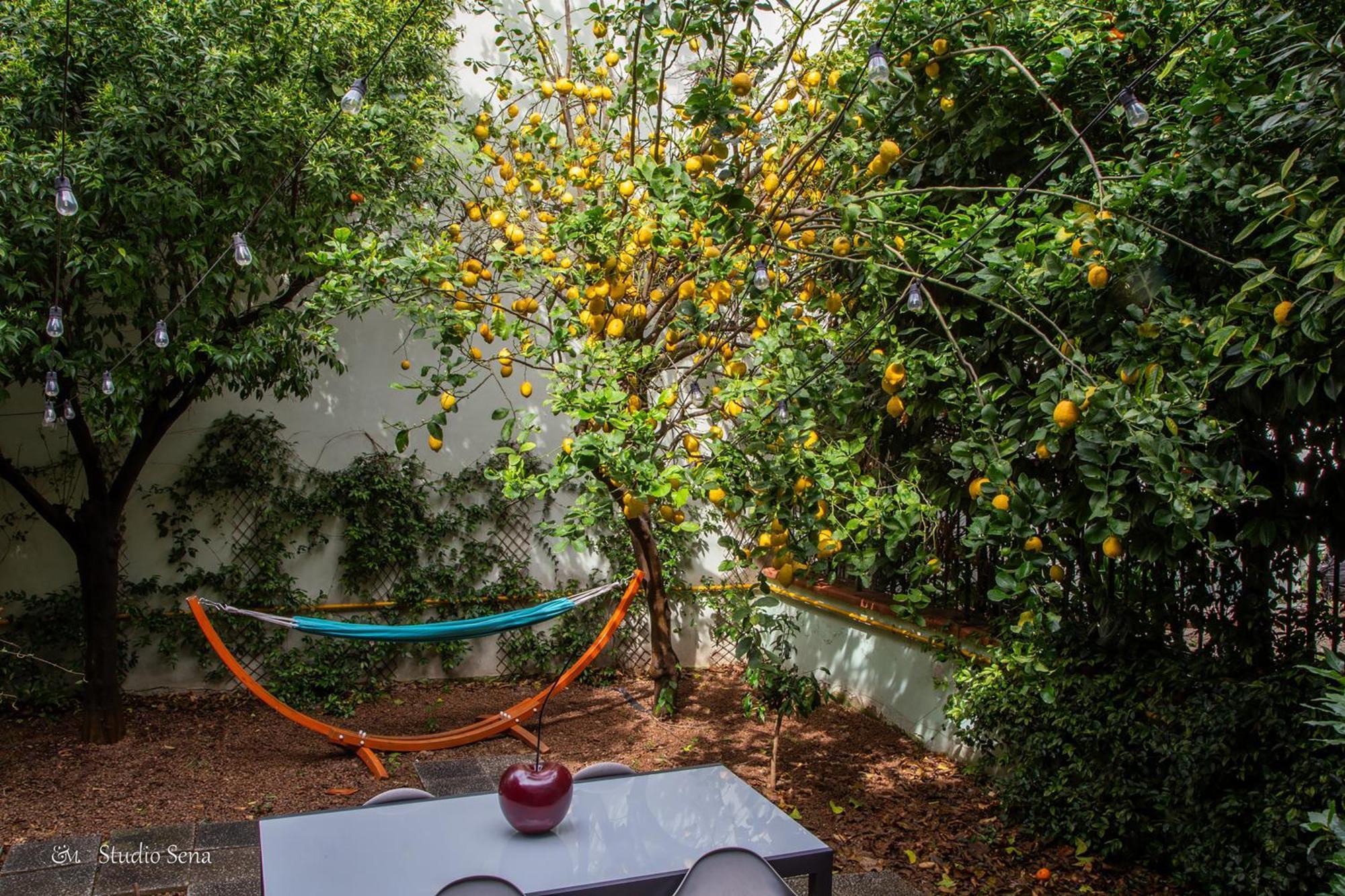 Utopia Bed & Breakfast Marigliano Luaran gambar
